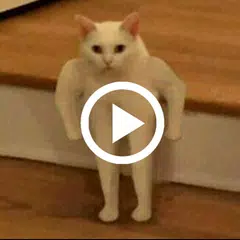 Kit Kot : Funny Cat Videos APK Herunterladen