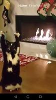 Kit Kot : Funny Cat Videos Affiche