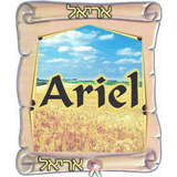 آیکون‌ Rádio Pentecostal Ariel