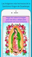 Virgen de Guadalupe. Imágenes, oraciones, historia الملصق