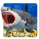 Fish Feed & Grow Tips APK