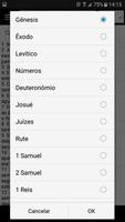 Bíblia Vision captura de pantalla 1