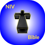 New International Version