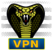 Cobra VPN