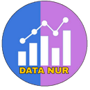 DATA NUR VPN APK