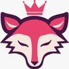 FOXNET ROUTE APK