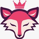 APK FOXNET ROUTE
