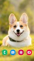 Dog Wallpapers الملصق