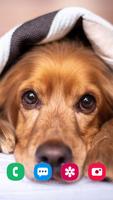 برنامه‌نما Puppy Wallpaper & Cute Dog HD عکس از صفحه