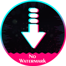 Video Downloader for Tik Tok - Remove Watermark APK