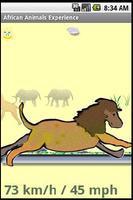 Animals Speedometer Experience 포스터