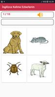 İngilizce Kelime-English for Beginner screenshot 2