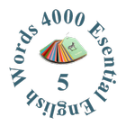 4000 Essential English Words 5 ícone