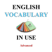 English Vocabulary in Use Advanced