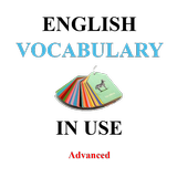 English Vocabulary in Use Advanced