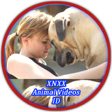 xnxx Animal Videos ID icône