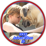 xnxx Animal Videos ID