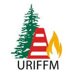 Вартовий лісу