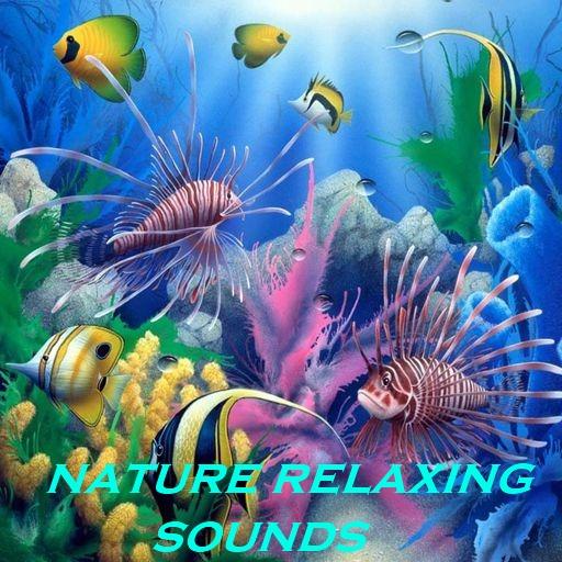 Nature Relaxing Sounds