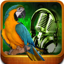 Animal Sounds APK