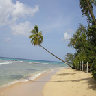 Beaches of Barbados icon