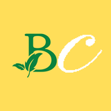 Xe Bảo Cúc APK
