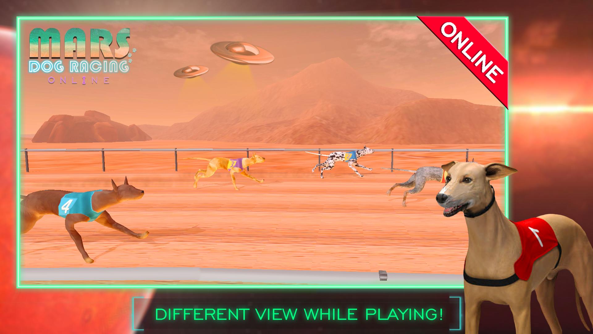 Online dog racing games Online dog racing games