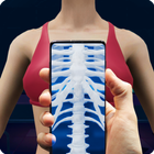 Xray Scanner Body Scanner Game 图标