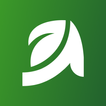 Green Score icon
