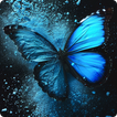 Blue Wallpaper HD icon