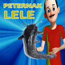 Peternak LELE Aku si Simulator APK