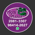Açai Mania
