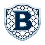 B SHIELD NET icon
