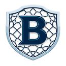 B SHIELD NET APK