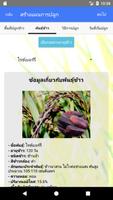 Rice เวลา تصوير الشاشة 2