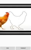 Tangkap ayam dan Sapi poster