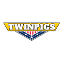 Amerykański Park Rozrywki Twinpigs APK