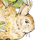 Peter Rabbit Puzzle APK