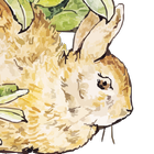 Peter Rabbit Puzzle icône