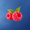 RaspberryMeet आइकन