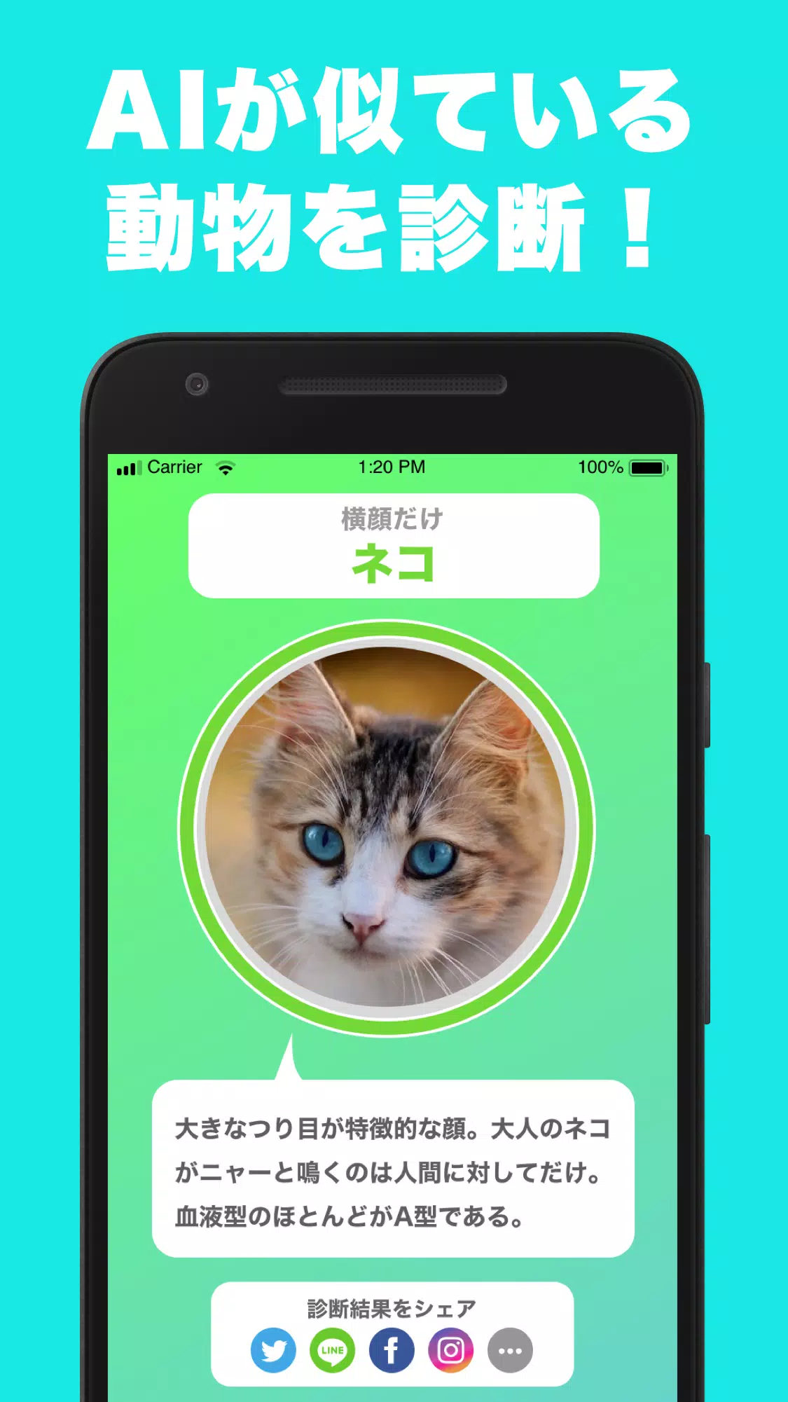 似てる顔の動物を診断するアプリ どうぶつカメラ そっくりな動物をai診断 Apk Untuk Unduhan Android