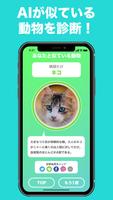 似てる動物を診断 顔診断アプリ どうぶつカメラ! 動物顔診断 Plakat