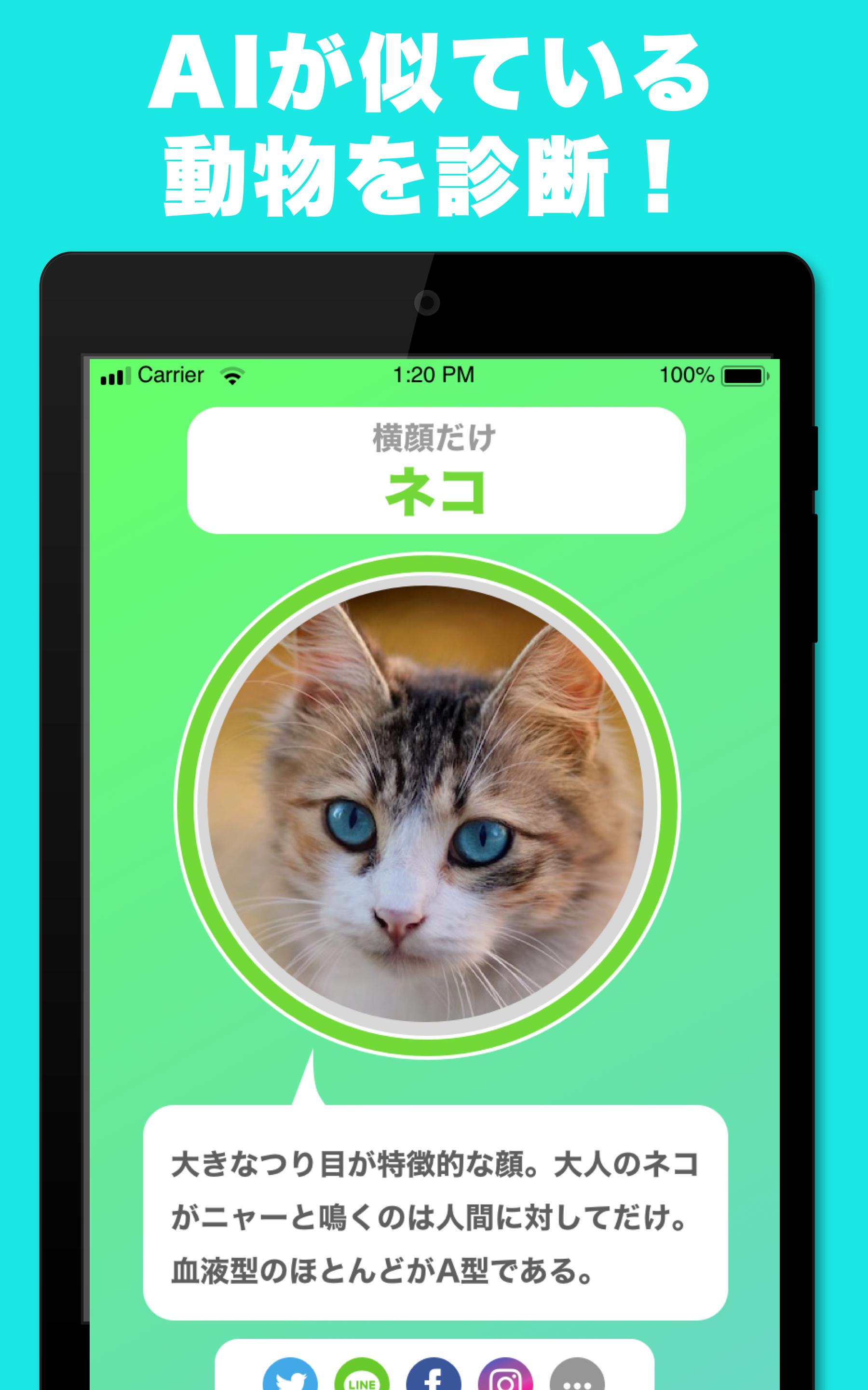 似てる顔の動物を診断するアプリ どうぶつカメラ そっくりな動物をai診断 For Android Apk Download