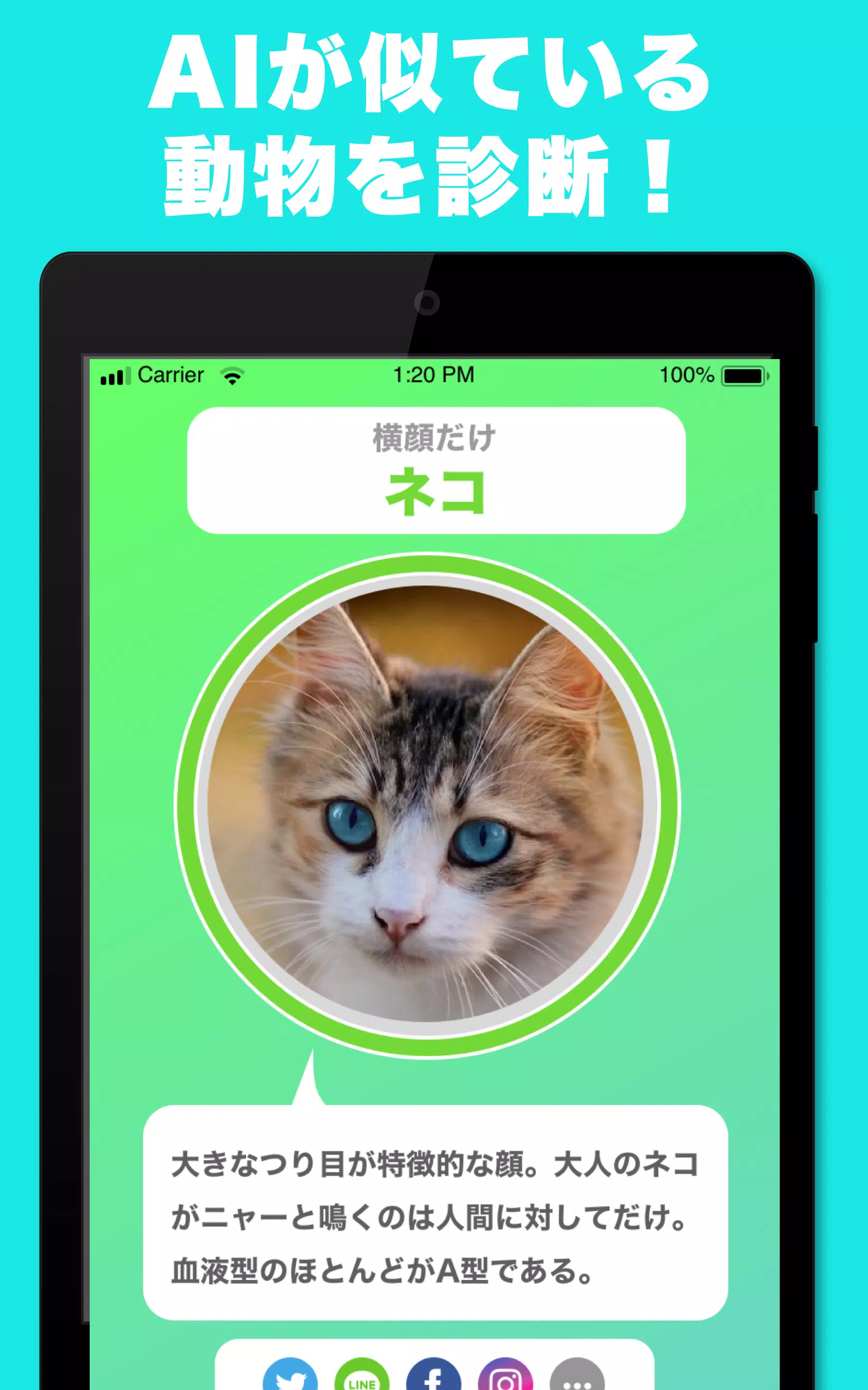 似てる顔の動物を診断するアプリ どうぶつカメラ そっくりな動 Apk Untuk Unduhan Android