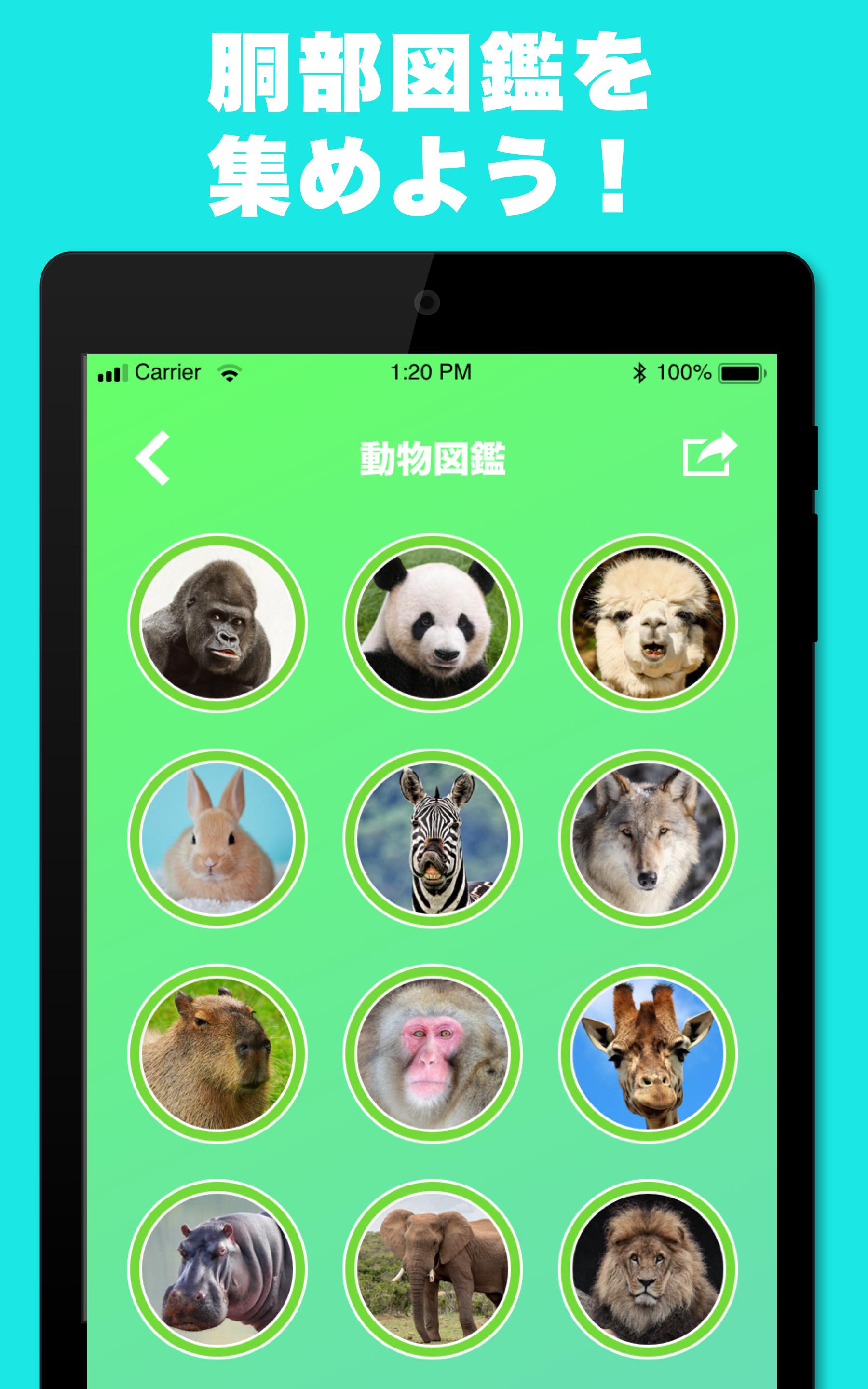 似てる顔の動物を診断するアプリ どうぶつカメラ そっくりな動物をai診断 For Android Apk Download