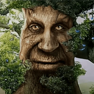 Wise Mystical Tree - Apps on Google Play