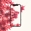 Offline Auto Wallpaper Changer ícone
