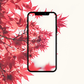 Offline Auto Wallpaper Changer