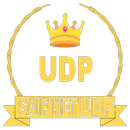 SAIF NET UDP APK