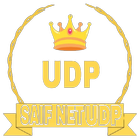 SAIF NET UDP Zeichen